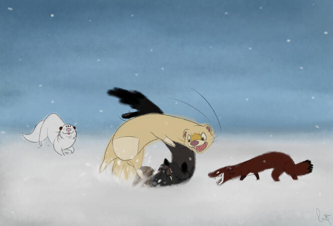 Gang playing (sketch form)